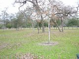 Nob Hill Park 10300 Timberoak Drive, Houston, TX 77065 (35).JPG
